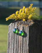 Ponderosa Pine Earrings