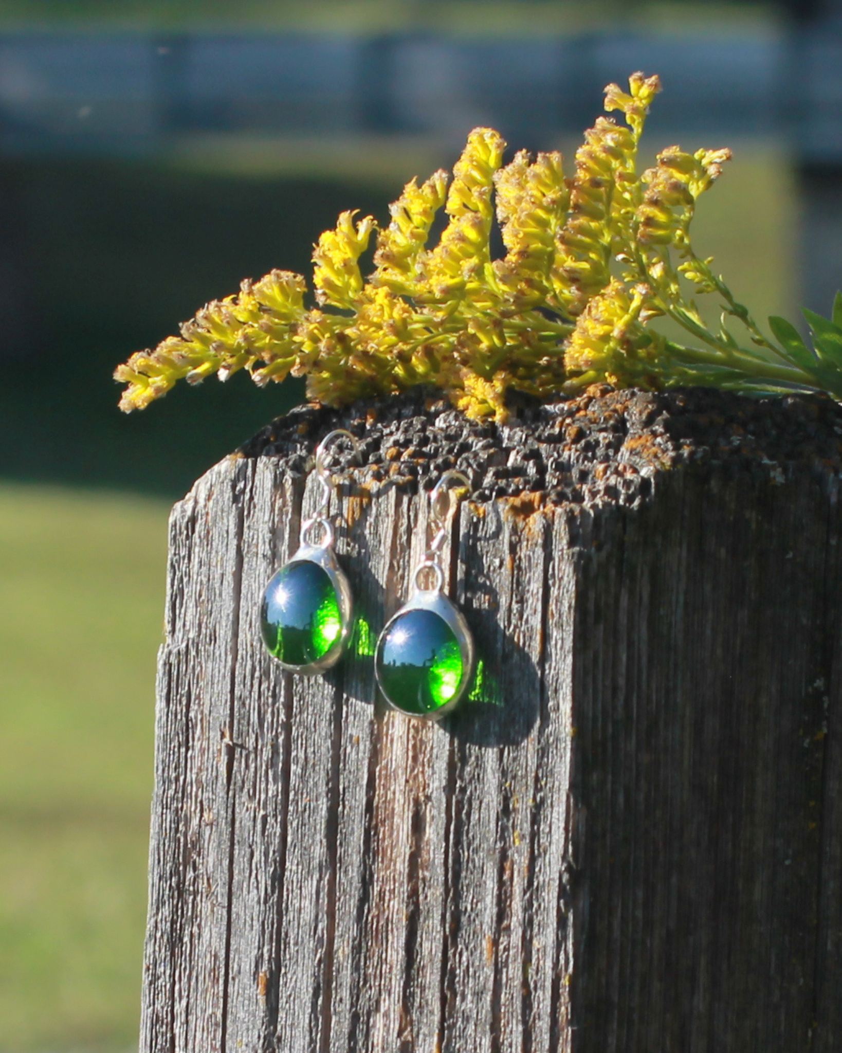 Ponderosa Pine Earrings