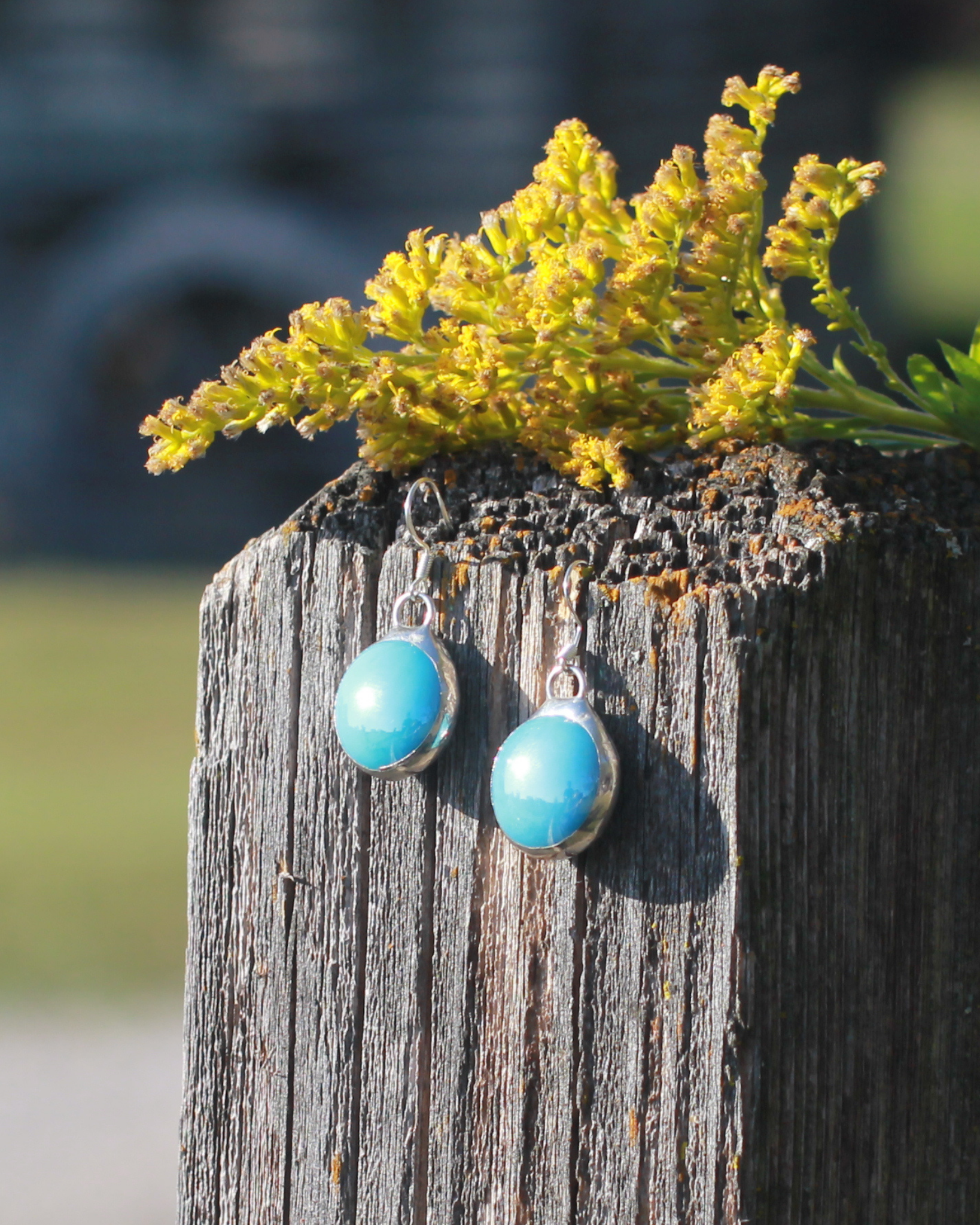 Robin’s Egg Blue Earrings