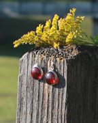 Montana Merlot Earrings
