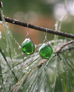 Ponderosa Pine Earrings